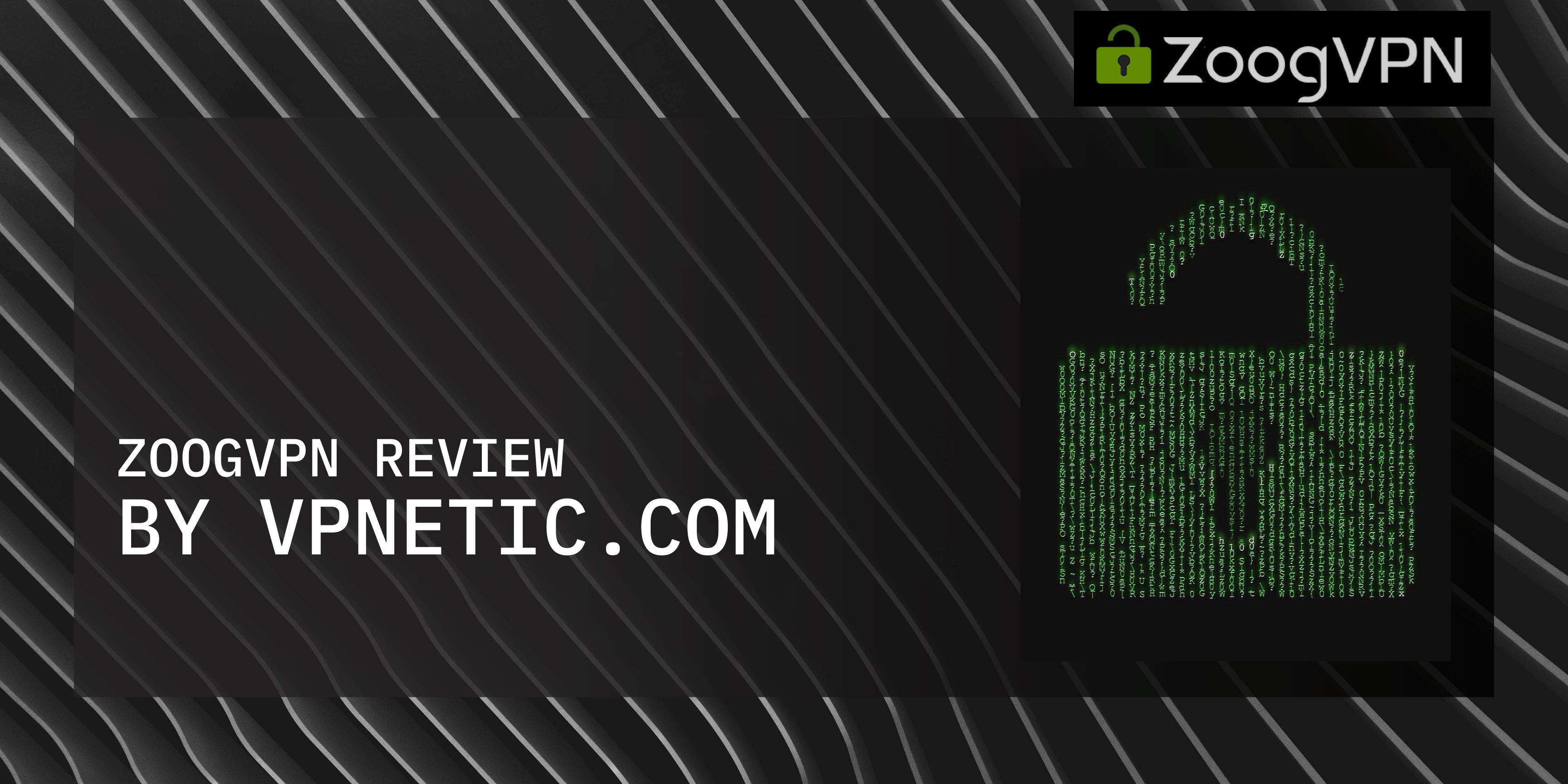 VpneticReview